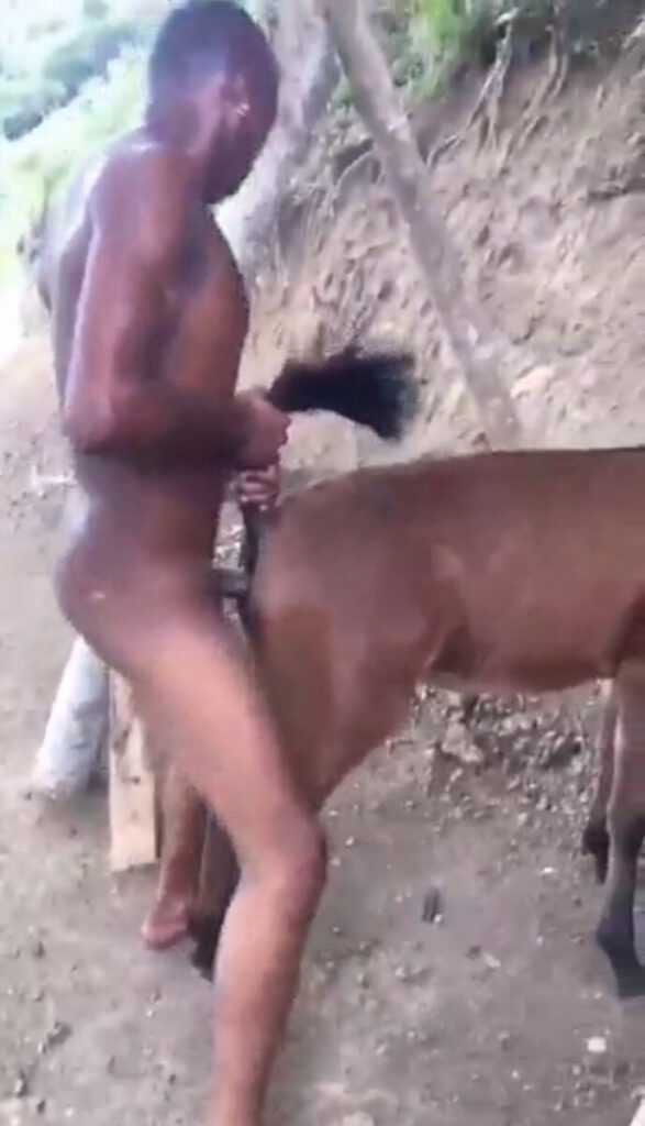 Mulobezi Man Having Sex With A Donkey