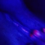 Ridah Shanik Masturbating