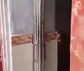 Caught Granny Scissoring The Maid