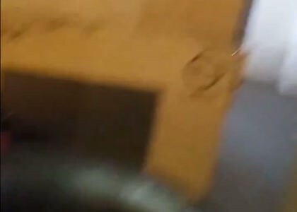 Kinshasa Male Student Fuck Teacher