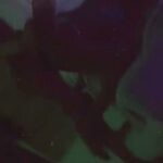Collapse Doggy Backshots in Hotel